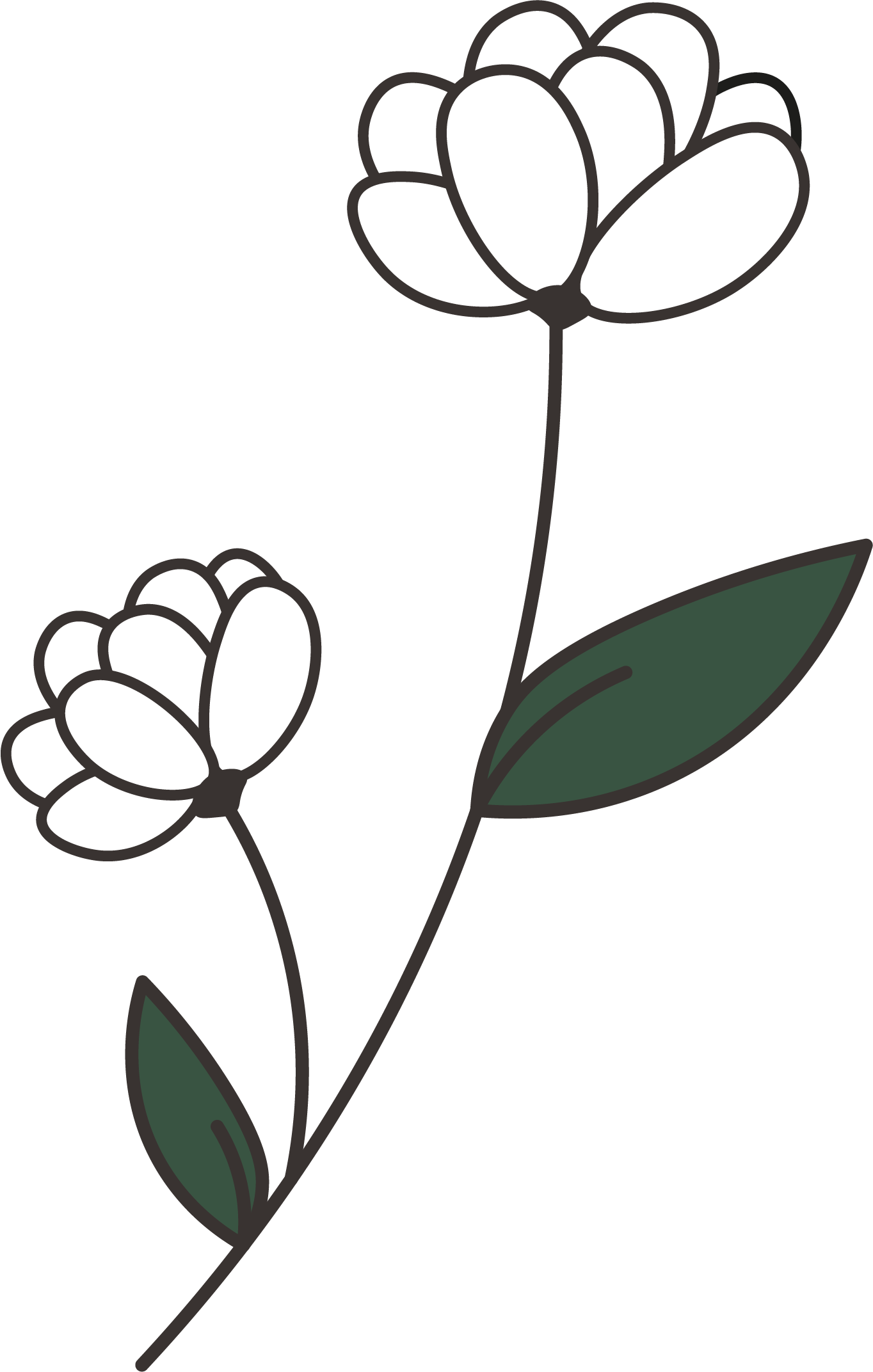 leaf